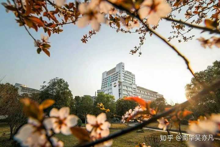 南华大学2021专业目录_南华大学2021专升本专业_南华大学一本专业