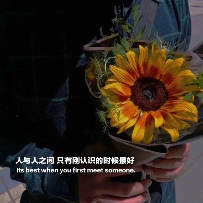 文案无关爱情