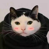 王尹口