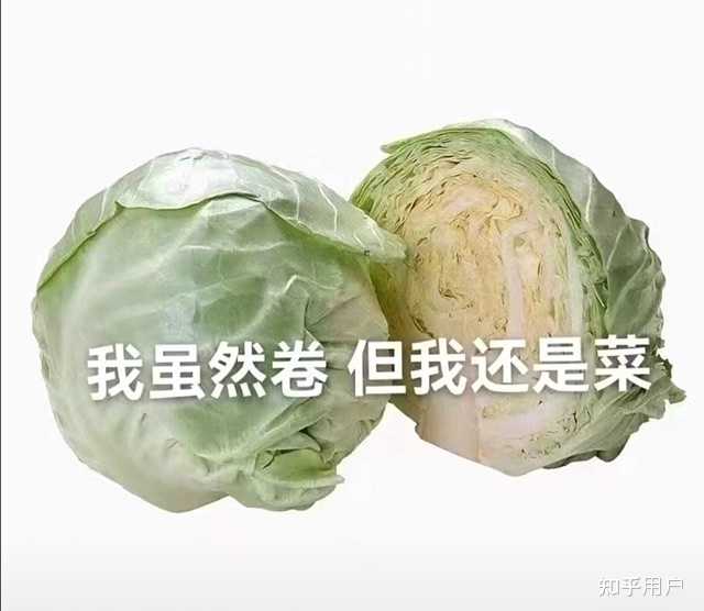 请求推荐sci期刊，sensors真的不如不发嘛？ - 知乎