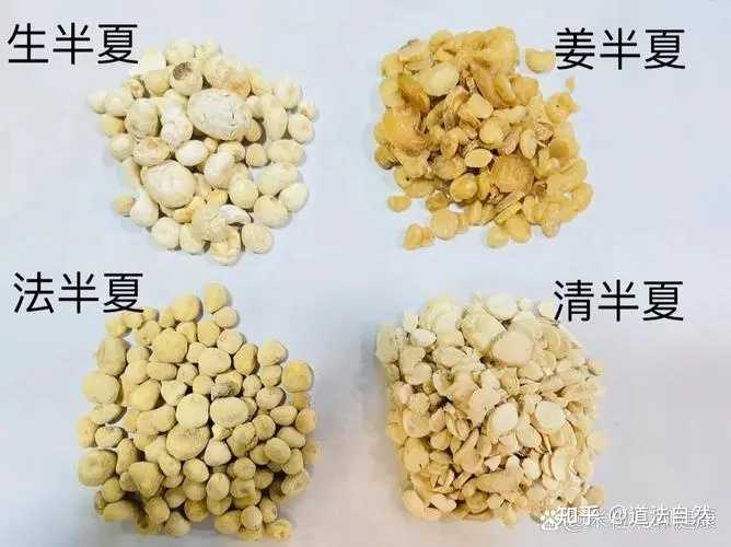 清半夏,法半夏,姜半夏的临床使用有何区别? - 知乎