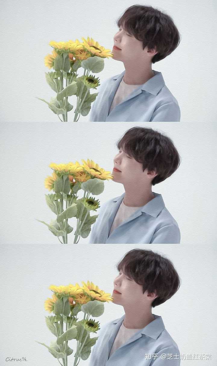 你们觉得防弹都分别适合什么小说里的设定？ - 知乎