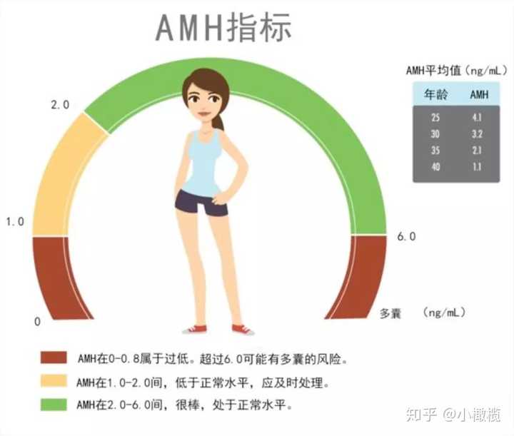 什么是amh？amh检查有什么意义？ 知乎