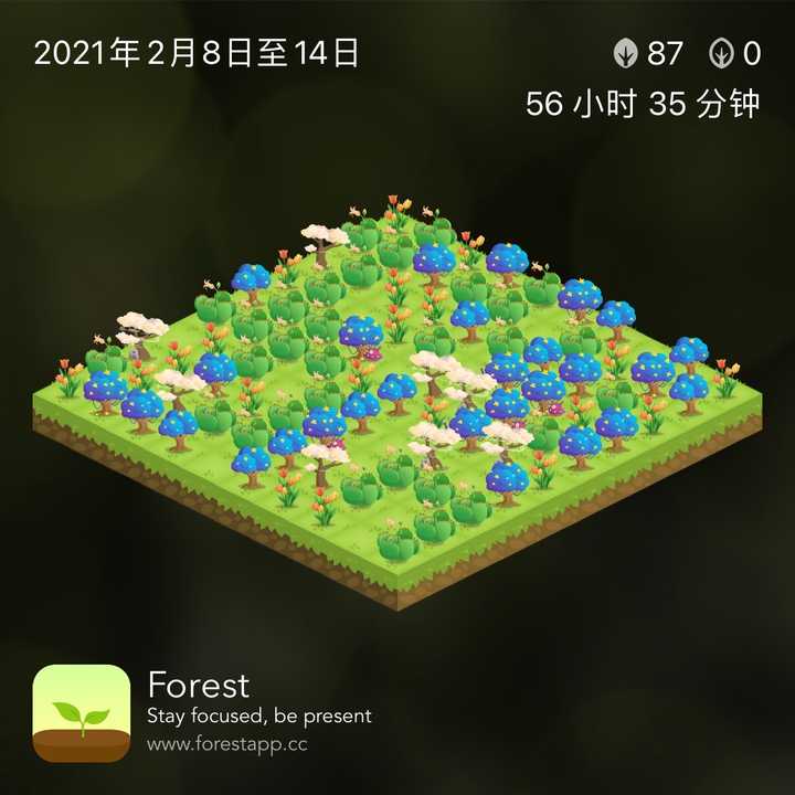 用forest种树怎样搭配最好看? - 知乎