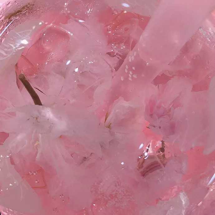 有哪些既高级又简单的网名女