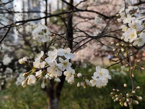 什么方法可以让孩子爱上看课外书？