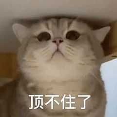 合肥是个宜居城市吗?
