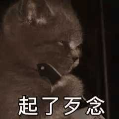 你有哪些超有趣的萌宠表情包