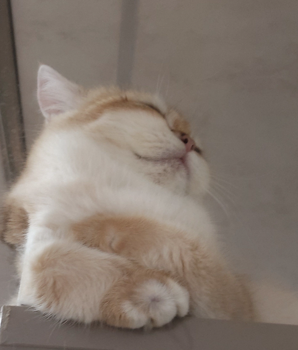 我想写书，但是我怕失败，我怕没人看。怎么办？