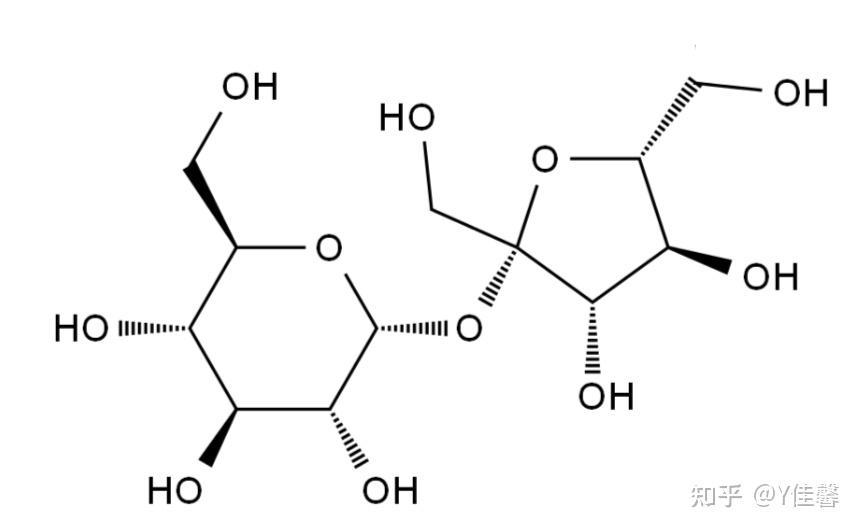 蔗糖和麦芽糖的键线式是什么? - 知乎