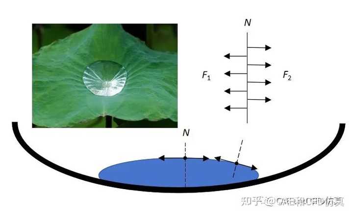 如何理解液体表面张力？ - 知乎