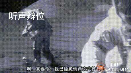 动图封面