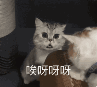 你收藏了哪些可爱的gif动画? - 知乎