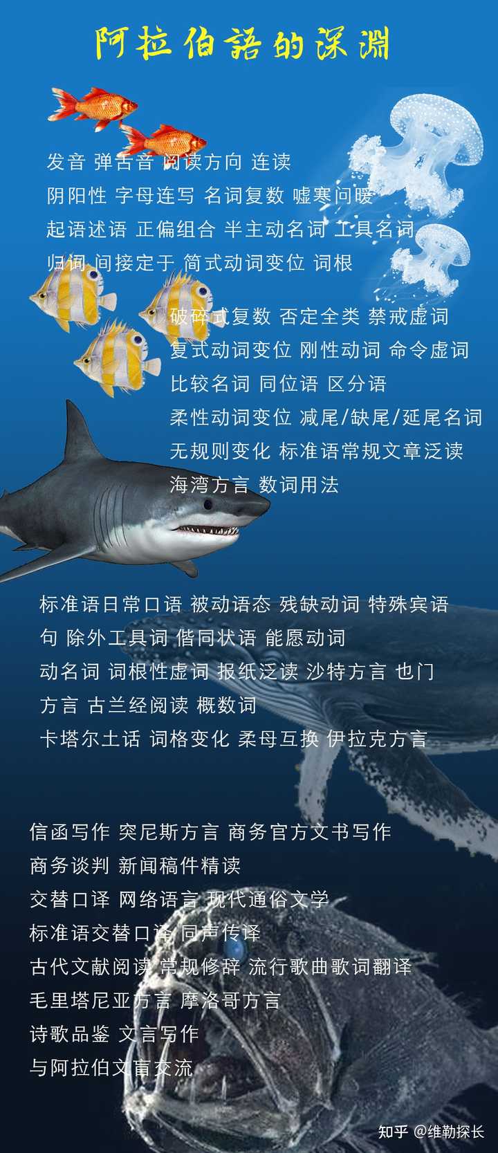 学习阿拉伯语是怎样的体验？ - 知乎