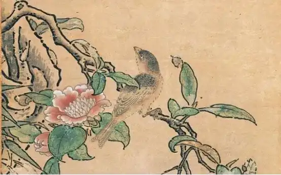 应该如何理解声景学（The soundscape）这个概念？ - 知乎