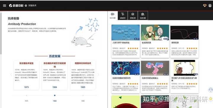 有没有好用的学习网站?