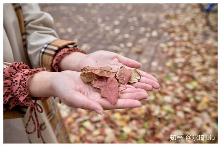 山东有空调的大学宿舍_济南大学宿舍有空调吗_济南宿舍有空调的专科学校