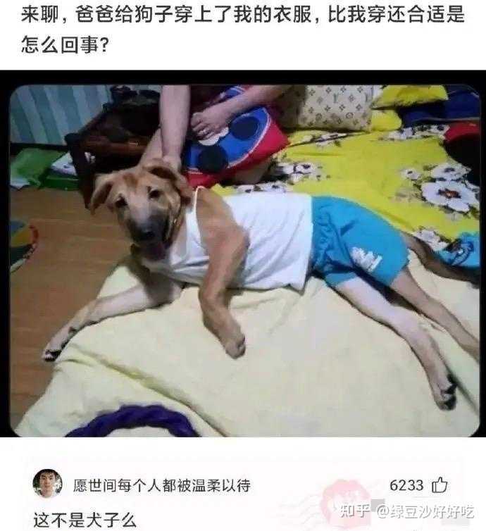 有没有那种一看就笑死的表情包或梗图? - 知乎