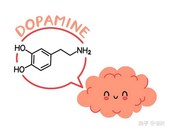 多巴胺作为神经递质有哪些作用？ - 知乎