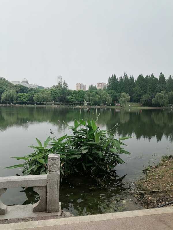要如何回答来自孩子的「源头责备」，比如问没钱为什么生我？