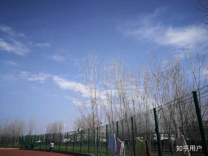 醫學垃圾怎么處理_動物醫學是個垃圾_醫學垃圾五大類