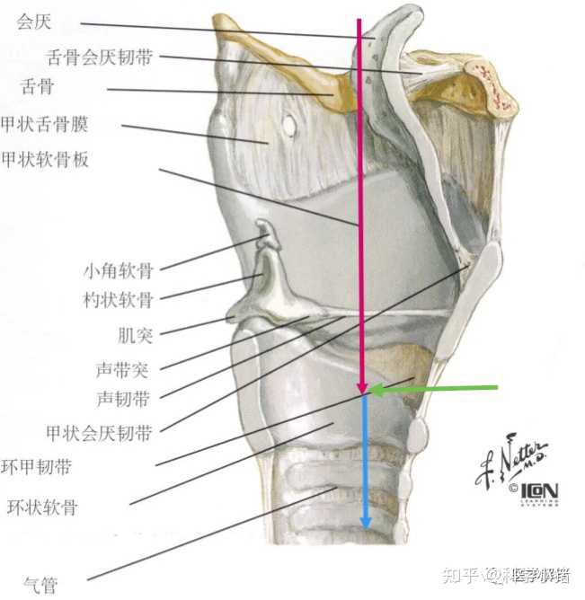 有哪些事情听起来危险但实际上很安全? - 知乎