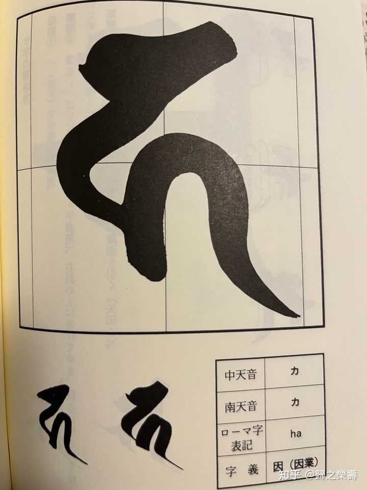 请问这是什么字什么意思呢？ - 知乎