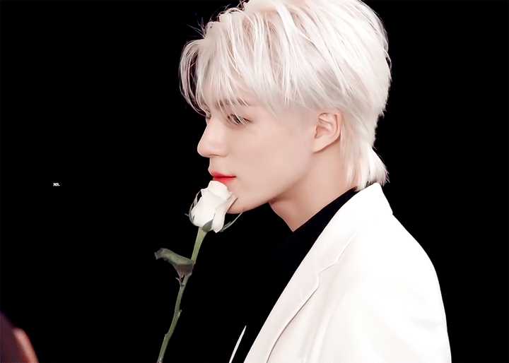 有划学家给我科普一下罗渽民和李帝努到底谁才是官方门面么还有谁才是