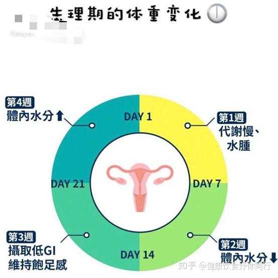 减肥食谱周二的吃法_一周减肥食谱_减肥食谱周二推荐