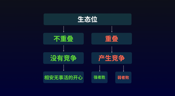 社会竞争到底是在竞争些什么?而个人核心竞争力要如何挖掘? - 知乎