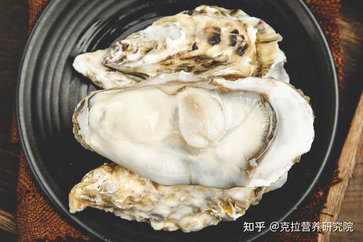 ChatGPT Wikipedia
