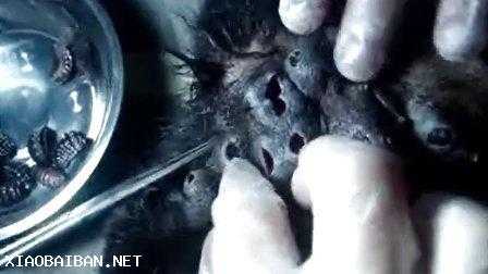 有哪些特别恐怖的生物? - 知乎