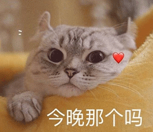 你收藏了哪些可爱的gif动画? - 知乎