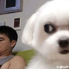 关山难越
