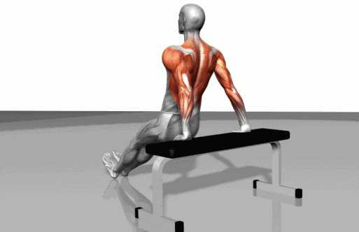 在家可以做哪些徒手训练来锻炼?