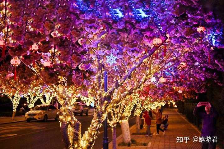 青岛有哪些地方可以看樱花? - 知乎