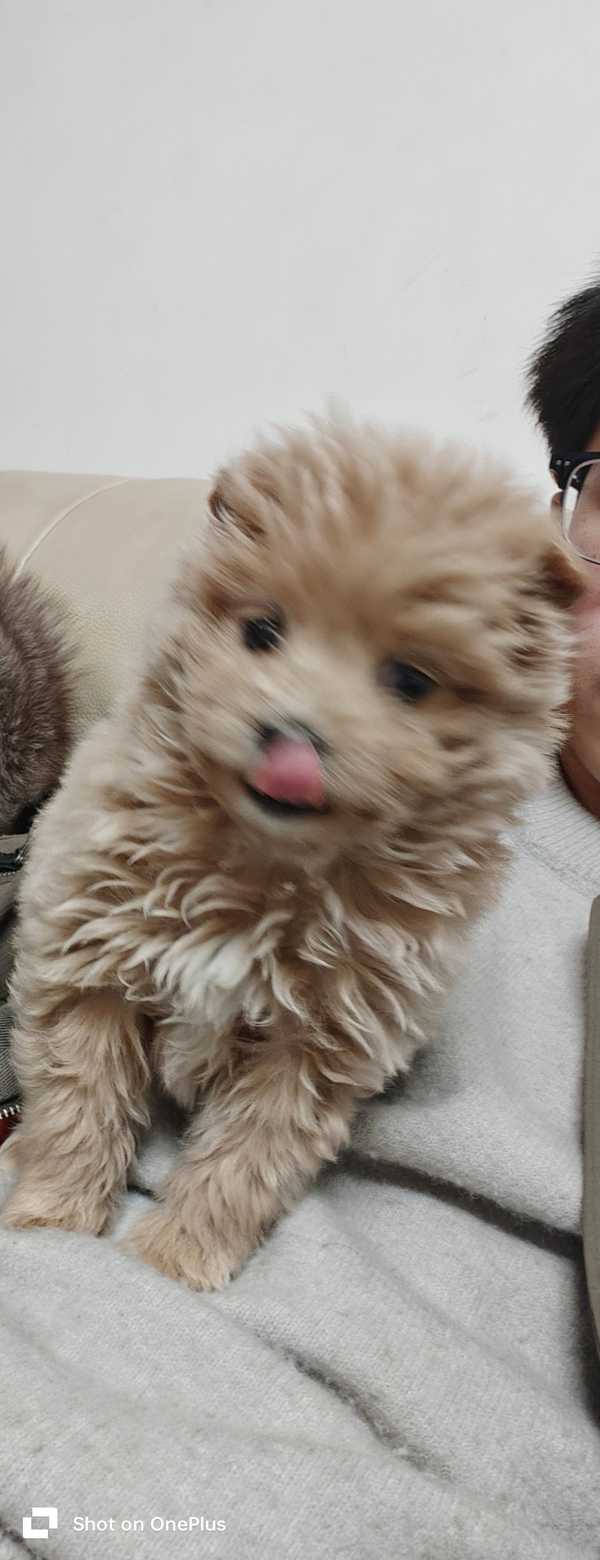 可以看看你们相册里的小动物图片吗？