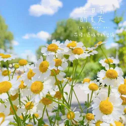 适合夏天发朋友圈的语句