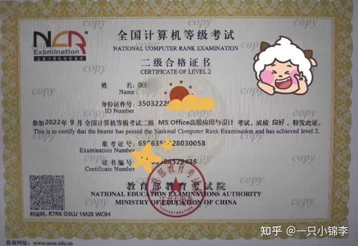 全国计算机二级考试证书重要吗？ - 知乎
