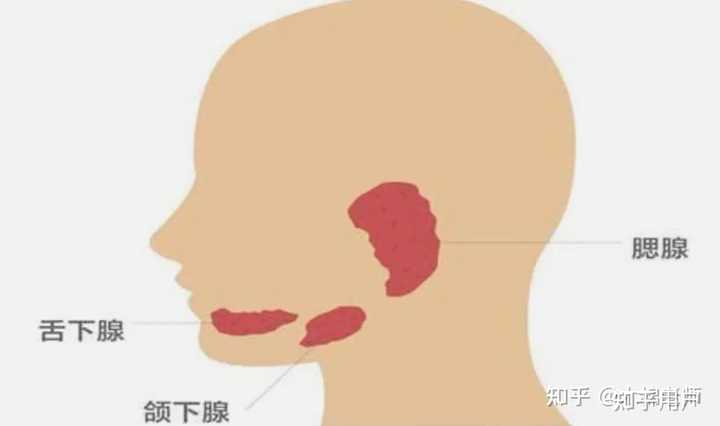 为什么说话总是喷口水? - 知乎