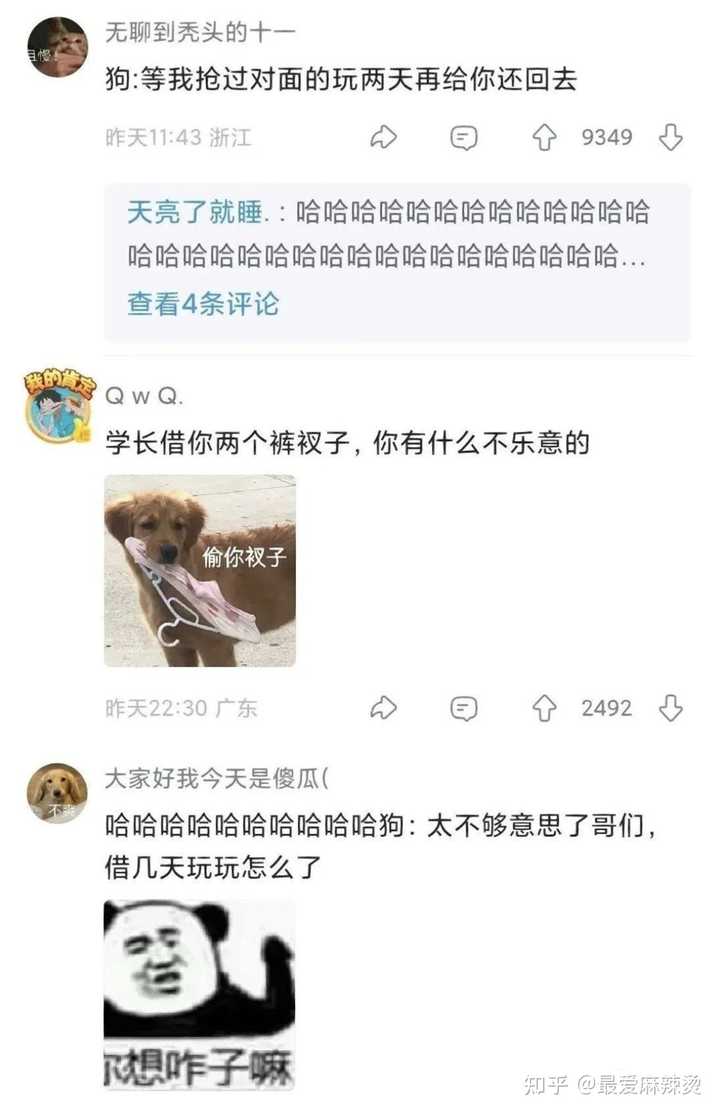 有哪些直接戳中笑点的段子？ - 最爱麻辣烫的回答- 知乎