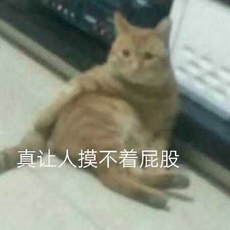 有哪些丑萌表情包？ - 知乎
