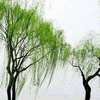 子悠