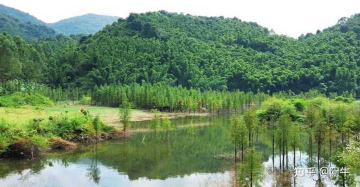 牛头山水库库容_牛头山水库长度多少_牛头山水库