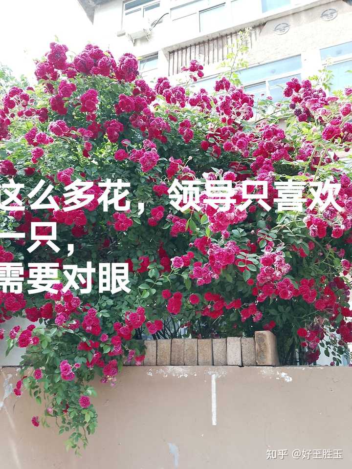在体制内,你会经常去找领导汇报工作吗?还是按部就班干好自己的工作? - 知乎