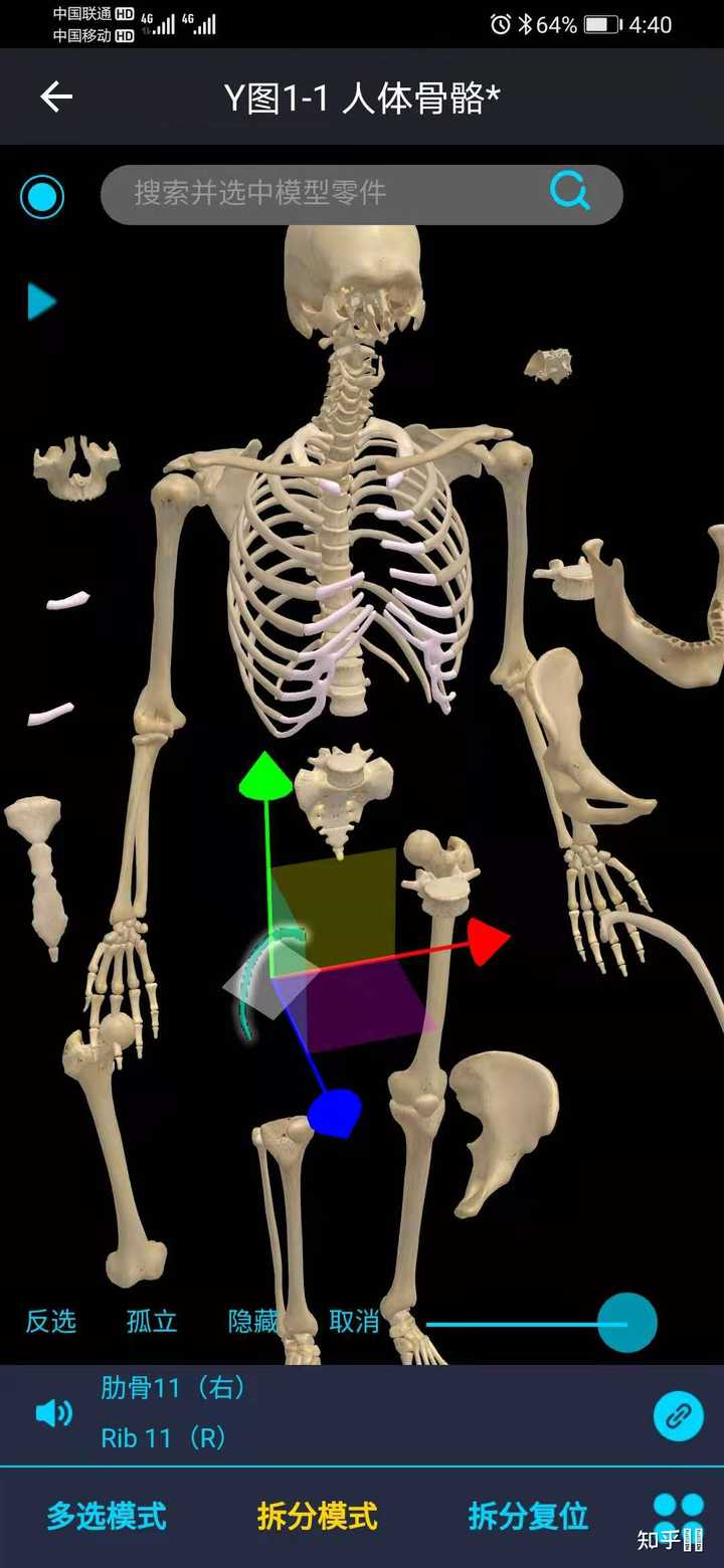 国内最好的解剖软件是3Dbody吗？ - 知乎