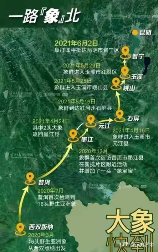 远方青木:这是瑞兆中的瑞兆，意味着大陆国家的盛世即将到来。|2026-10-19-汉风1918-汉唐归来-惟有中华