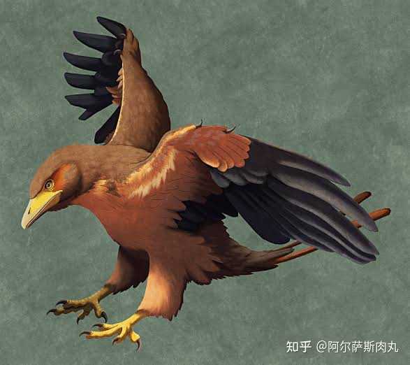 如果没有白垩纪末灭绝事件（小行星撞击），鸟类会如何演化? - 知乎