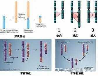 试管知识-河南郑州代生男宝宝哪家医院好.
