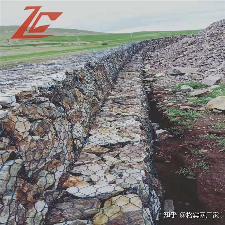 什么是宾格网? - 知乎